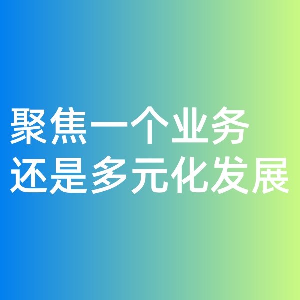 鈀碳回收, 聚焦一個業(yè)務(wù)，還是多元化發(fā)展